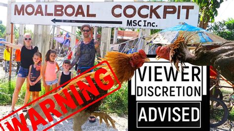 sabong|youtube sabong 2020.
